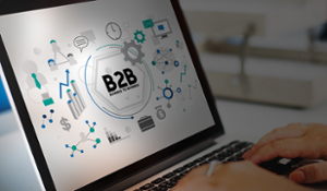 Magento B2B and the functional differences with Magento B2C
